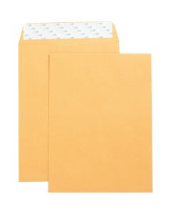 Business Source Self Adhesive Kraft Catalog Envelopes